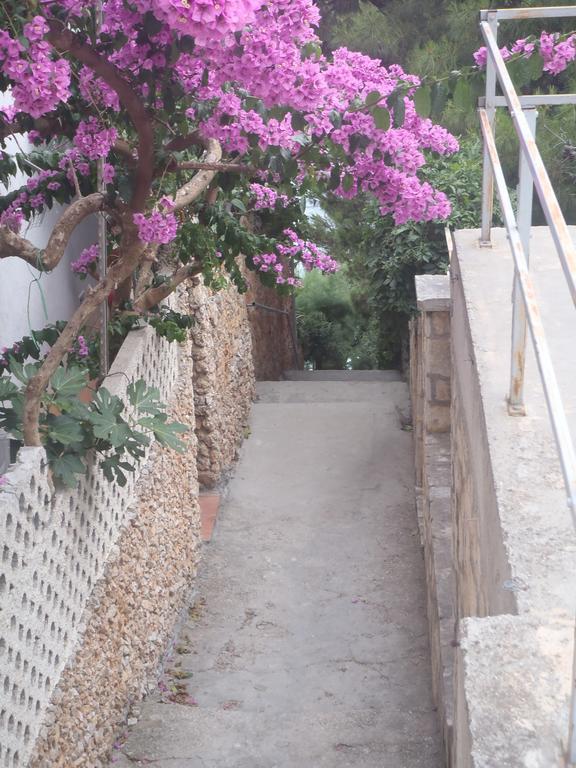 Apartments Villa Stari Koko Omiš Dış mekan fotoğraf
